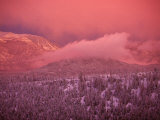 Buy Lake Tahoe at Sunset with Snow, California at AllPosters.com
