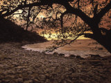Buy Secret Beach, Puerta Vallarta, Mexico at AllPosters.com