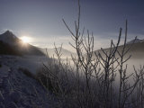 Buy Winter View of Jasper National Park at AllPosters.com