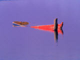 Buy Red Boat in Water, Brasilia, Brazil at AllPosters.com