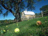 Buy Barn in Windham, VT at AllPosters.com
