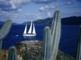 Sailboat, Baja, Mexico