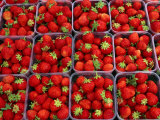 Strawberries for Sale, Bergen, Norway