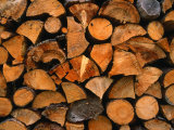 Chopped Wood for Winter, Zermatt, Switzerland