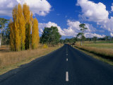 Back Road Between Uralla and Walcha New England National Park, New South Wales, Australia