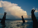 Buy Three Pairs of Legs Stick out of the Water in Lake Mcconaughy at AllPosters.com
