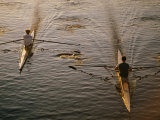 Two Rowers Paddle Down the Charles River in the Morning Sunlight