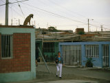 Buy A Dog Watches Passersby from the Roof of an Arica House at AllPosters.com