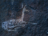 A Cave Painting of a Rhebok in the Drakensberg Range Photographic Print