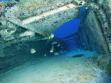 Buy Fish Swimming in Shipwreck, Tortola Island, Virgin Islands at AllPosters.com