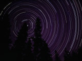 Star Streaks Above Silhouetted Trees