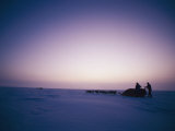 Huskies Carry a Sled Across the Ice at Twilight