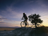 Cyclist at Sunset, Northern Arizona