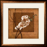 Buy Golden Orchid II at AllPosters.com