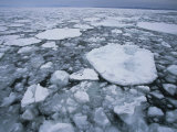 Buy Sea Ice in the Nemuro Strait at AllPosters.com