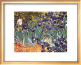 Buy Irises, Saint-Remy, c.1889 at AllPosters.com
