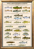 Great Lakes Sportman