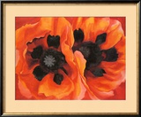 Oriental Poppies, 1928