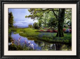 Buy Shady Grove at AllPosters.com