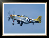 Buy P-51 Mustang at AllPosters.com