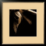 Spirit Horse