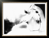 Buy Impressions at AllPosters.com
