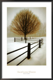 Buy Solitude at AllPosters.com
