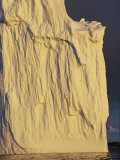 Buy Iceberg at AllPosters.com