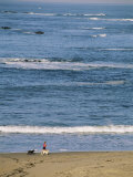 A Woman and Two Dogs Walk Along the Shorline