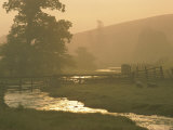 Buy Pastoral View of Sheep Grazing Near a Creek at AllPosters.com