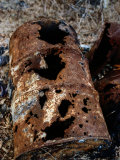 Buy Rusted Waste Barrel at a Dump in Natchez at AllPosters.com