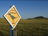 A Playful Sign Warns Motorists to Watch out for Dinosaurs