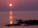 Buy Sunrise, Bornholm, Denmark at AllPosters.com