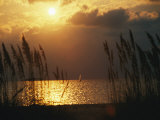 Buy A Windsurfer Skims the Silver Surface of Pamlico Sound at Twilight at AllPosters.com