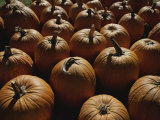 Buy The Slant of Twilight Falls Across a Cluster of Pumpkins at AllPosters.com