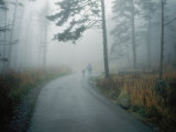 Buy A Woman Leads Her Toddler Down a Paved Trail in the Fog at AllPosters.com