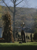 A Scarecrow Stands Guard Next to a Corn Shock