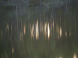 Buy Reflection in Water Forms an Abstract Design at AllPosters.com
