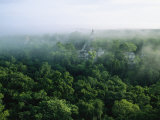 A View of the Mayan Ruins at Tikal