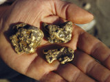 Buy Gold Nuggets Mined in Alaska at AllPosters.com