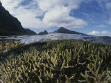 Buy A Split-Level View of Mountains and Coral Reef at AllPosters.com