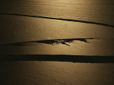 The Setting Sun Reflects off a Beach in Olympic National Park