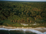 An Aerial View of the Beach Where Mike Fay Ended His Megatransect