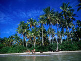 One of Many Palm Fringed Beaches on Tindare Island, Togos Os Santos Bay, Itaparica, Brazil
