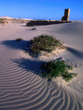 Remains of Telegraph Repeater and Weather Station in Desert, Eucla National Park, Australia