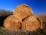 Three Hay Bales on Farm in Red River Valley, Alberta, Canada