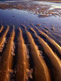 Buy Sand Formations on Five Mile Beach, Wilsons Promontory National Park, Australia at AllPosters.com