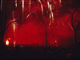 Fireworks Display in Williamsburg, Virginia