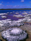 Stromatolites (Cervantes), Australia