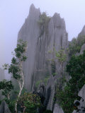 The Pinnacles Limestone Fores, from the Lookout on Gunung Api, Gunung Mulu NP, Sarawak, Malaysia